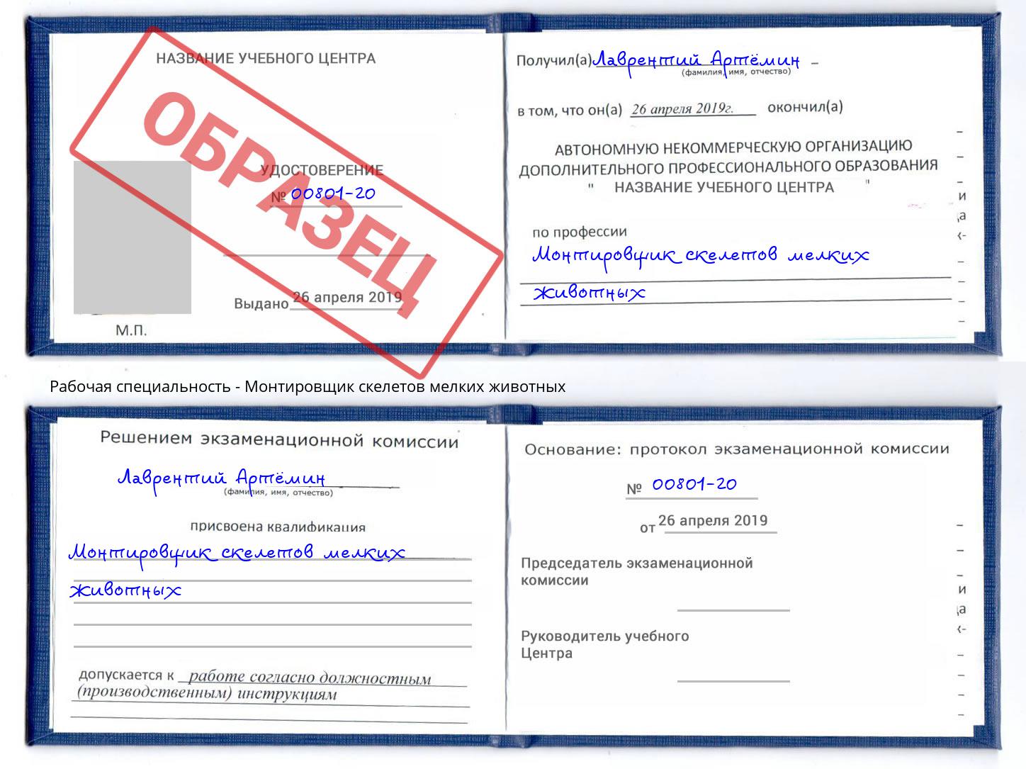 Монтировщик скелетов мелких животных Сертолово