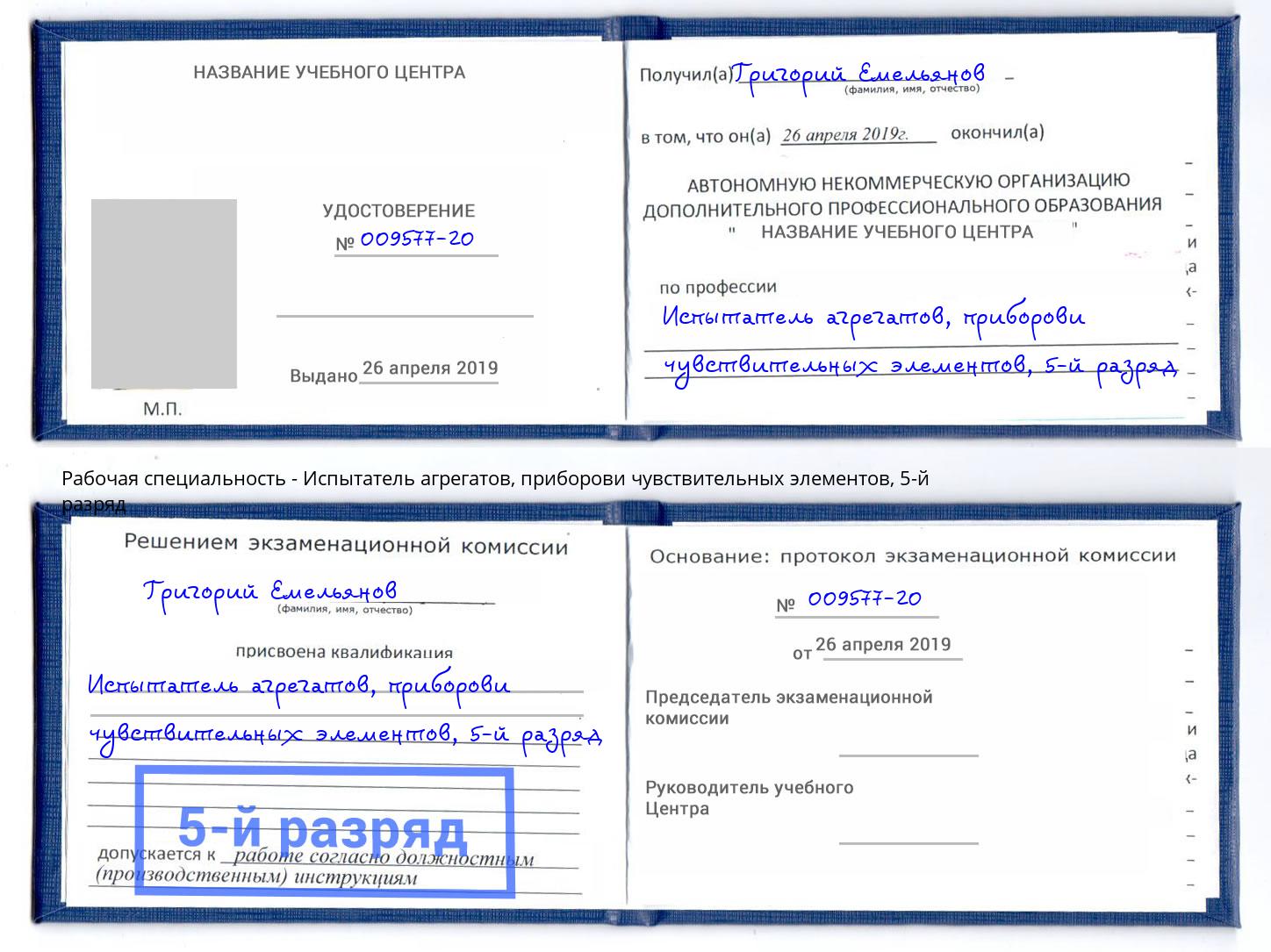корочка 5-й разряд Испытатель агрегатов, приборови чувствительных элементов Сертолово