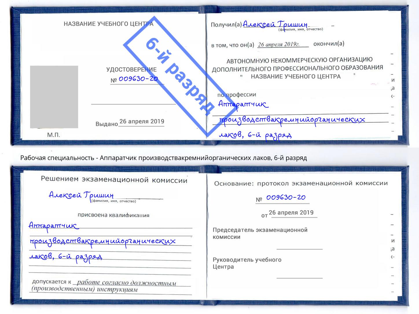 корочка 6-й разряд Аппаратчик производствакремнийорганических лаков Сертолово