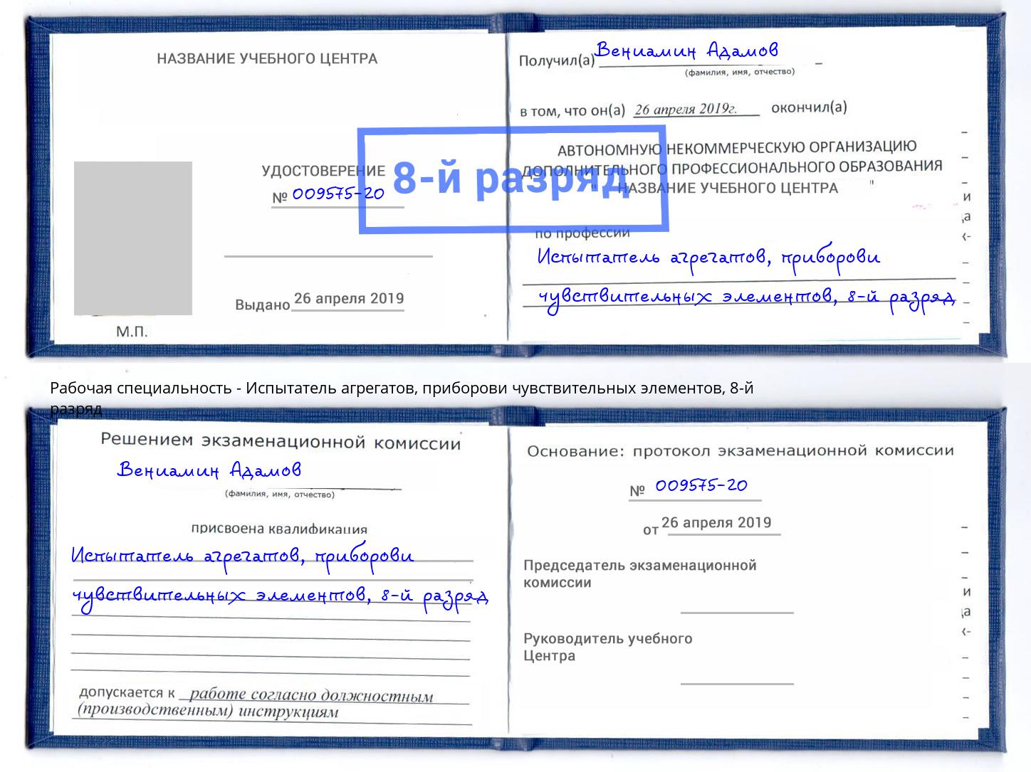 корочка 8-й разряд Испытатель агрегатов, приборови чувствительных элементов Сертолово